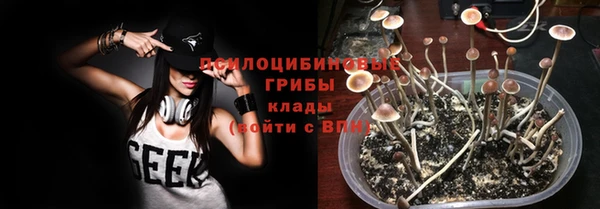 хмурый Вяземский