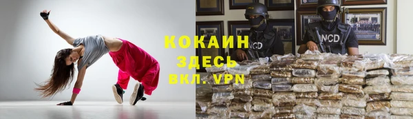 хмурый Вяземский