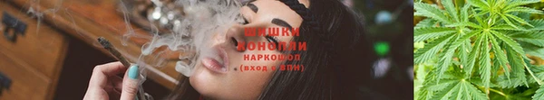 хмурый Вяземский
